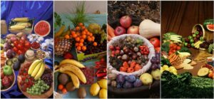 Animal Nutrition